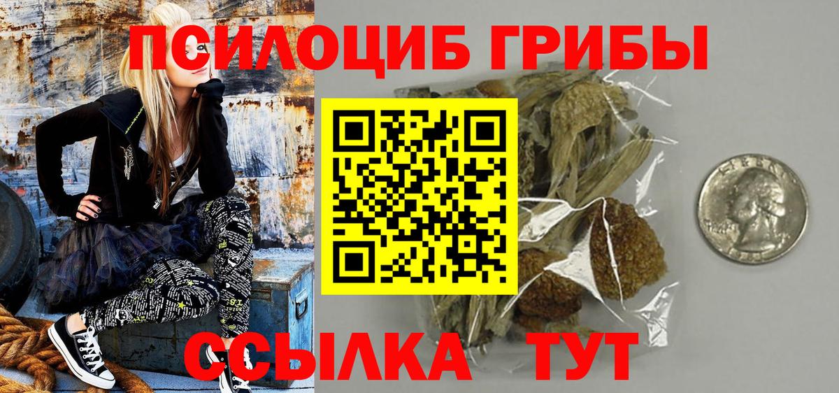 Подольск  Галлюциногенные грибы прущие грибы  Вход с VPN 